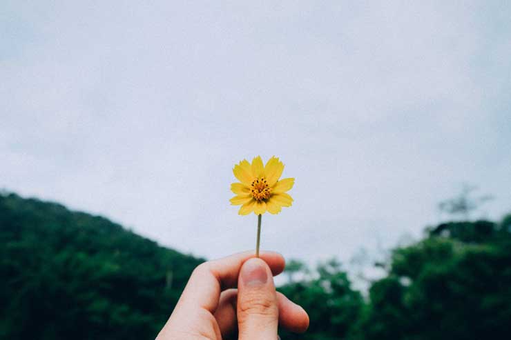 the search for more | The Search for More - A Pursuit of Happiness