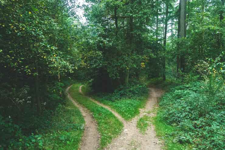 two diverging paths