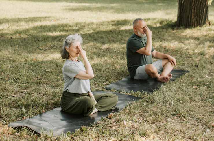 5 vrittis | The 5 Vrittis – How to Live in the Present Moment